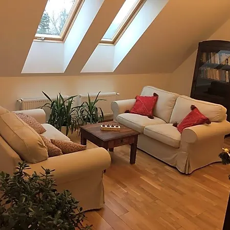Stara Szkola 20 Bed & Breakfast