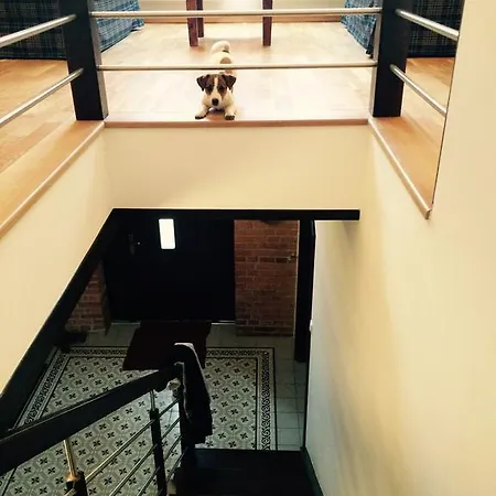 Stara Szkola 20 Bed & Breakfast