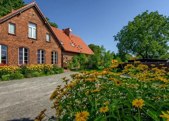 Stara Szkola 20 Trzcin